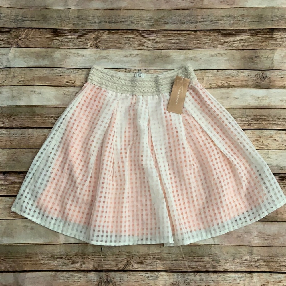 NWT Francesca’s Dina Be Skirt